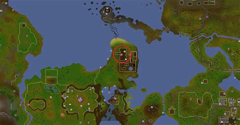 barbarian assault rewards osrs|Ultimate Comprehensive Barbarian Assault Guide .